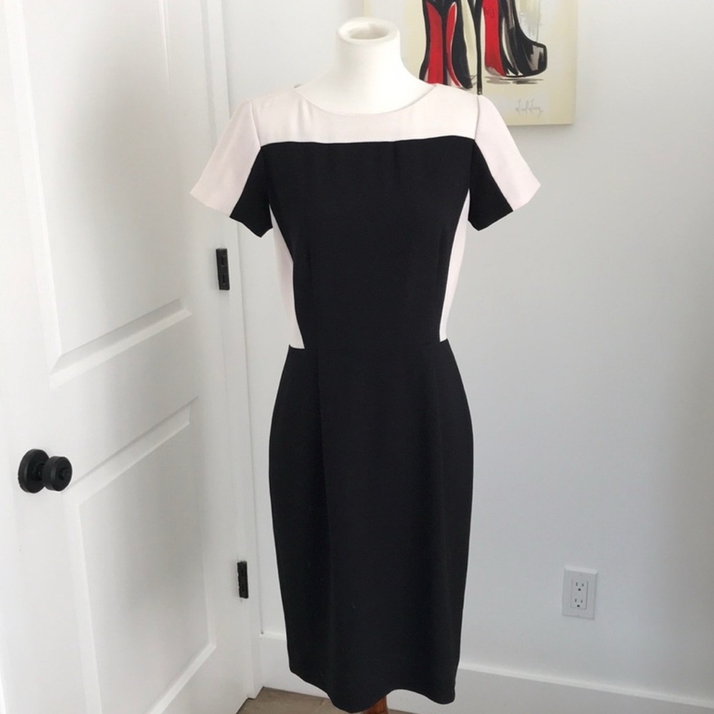 Tahari -Arthur Levine Sheath Dress